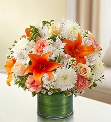 Cherished Memories<br>Peach, Orange and White Davis Floral Clayton Indiana from Davis Floral